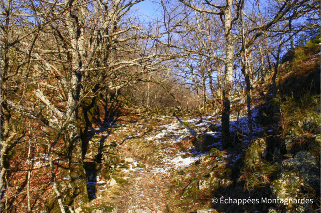 Le soleil nous réchauffe une fois atteint le col de la Porteille d'Orgeix (990 m), après une montée parfois raide mais très agréable