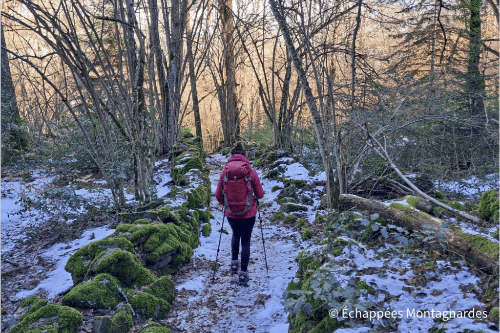 Encore de jolis sentiers forestiers, très agréables
