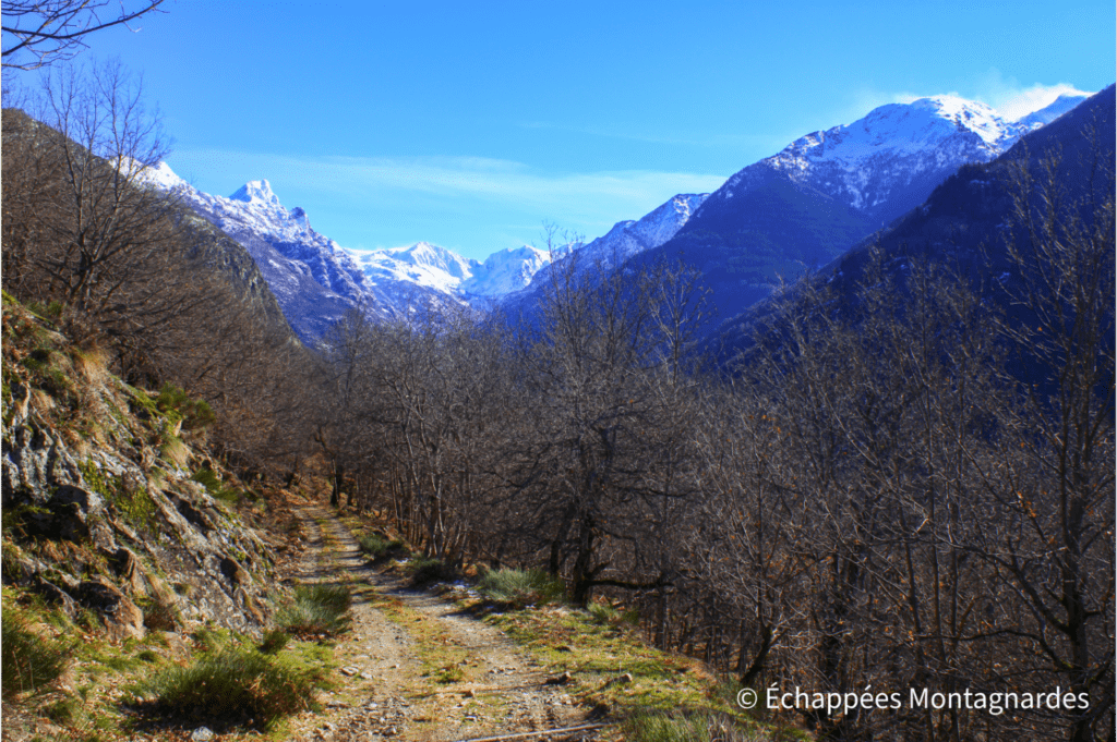 Le sentier devient ensuite chemin et nous ramène vers Orgeix sans difficulté. Nous profitons encore d'une vue magnifique sur les sommets enneigés de la vallée d'Orlu