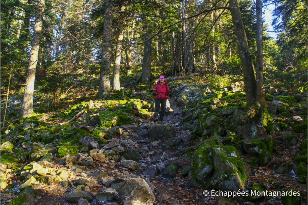 Descente délicate saut du Gier