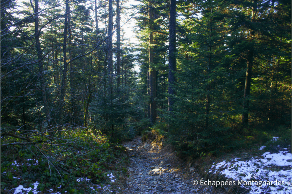Sentier escarpé saut du Gier