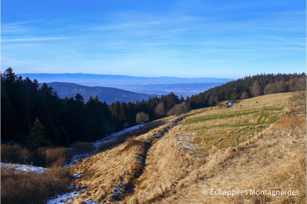 Vallée du Gier depuis la Jasserie