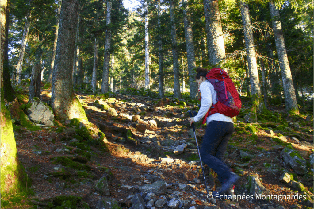 Retour à la Jasserie par le même sentier