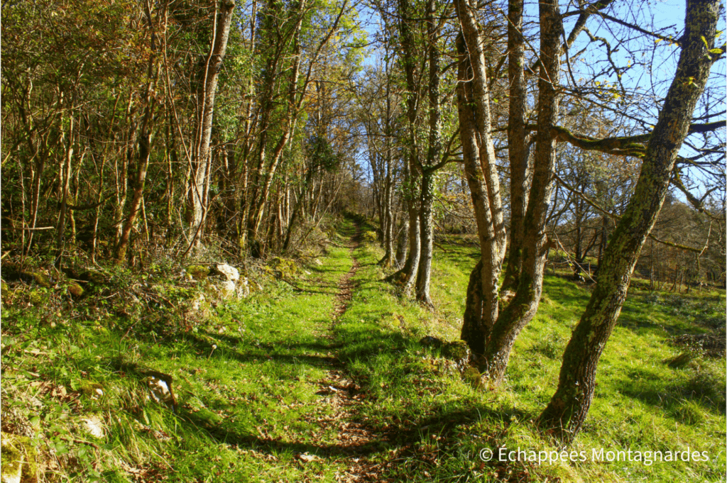 Les jolis sentiers du piémont pyrénéen