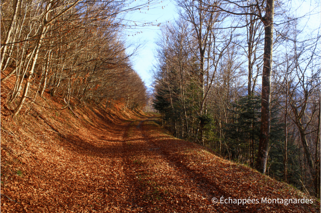 Retour sur de beaux chemins sans difficulté pour la fin de cette magnifique randonnée