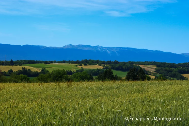 Traversée du Jura étape 20 - La haute chaine du Jura et ses sommets emblématiques : Reculet, Crêt de la Neige...