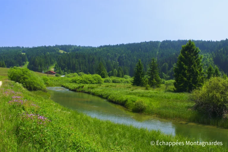 Traversée du Jura étape 10 - Tourbière à proximité de la source du Doubs, près de Mouthe