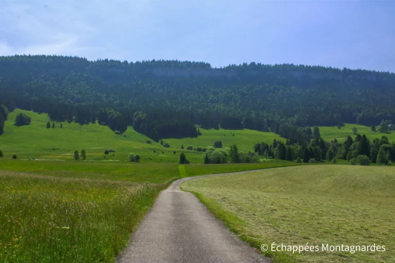 Traversée du Jura étape 12 - Descente face à la roche Champion et ses falaises frontalières, près de Chapelle-des-Bois