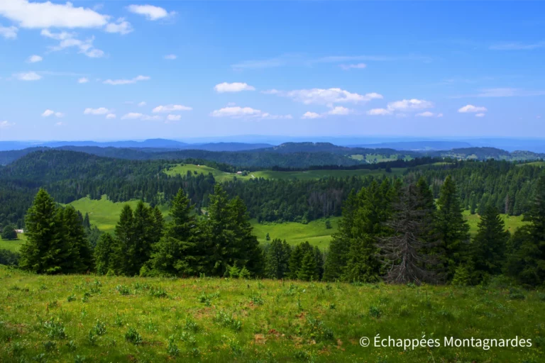 Traversée du Lura étape 15 - Côté ouest, la vue s'étend presque à l'infini depuis ce superbe sommet du crêt au Merle
