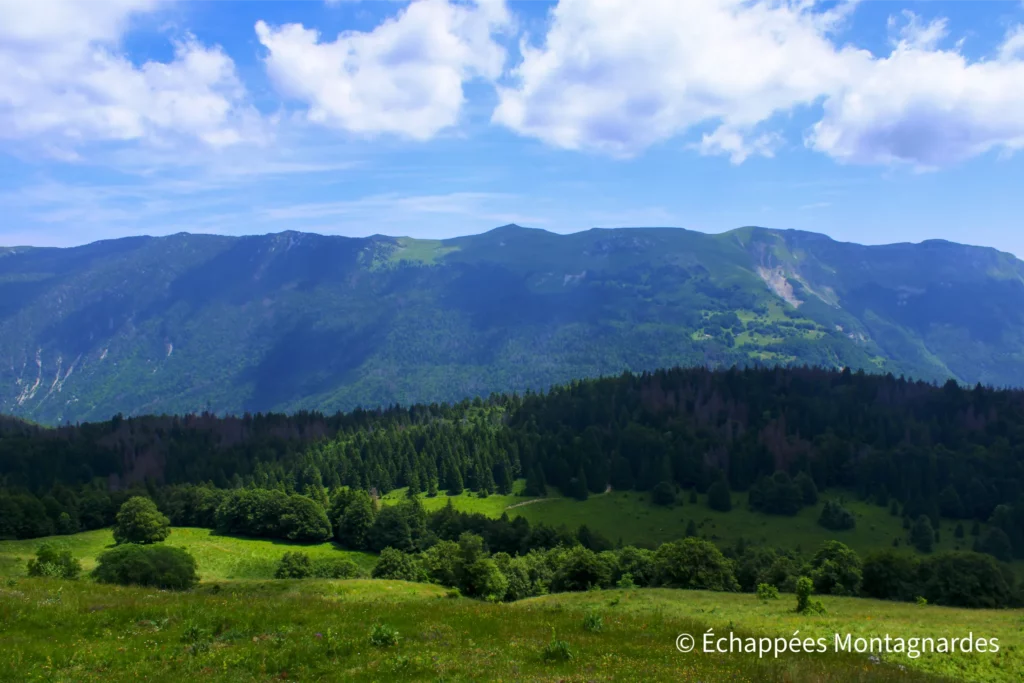 Traversée du Lura étape 15 - Au sommet du Crêt au Merle (1448 m), face aux Monts Jura. On distingue en particulier le Reculet (1718 m) et le crêt de la Neige (1721 m)