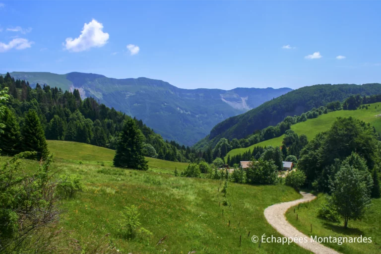 Traversée du Lura étape 15 - Vue vers la vallée de la Valserine et la Haute Chaine du Jura