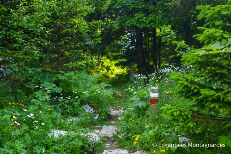 Traversée du jura étape 17 - Cette étape est sans aucun doute l'une des plus belles de toute la traversée du Jura le long du GR®5 !