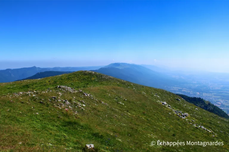 Traversée du Jura étape 18 - Panorama depuis le crêt de la Goutte (1621 m)
