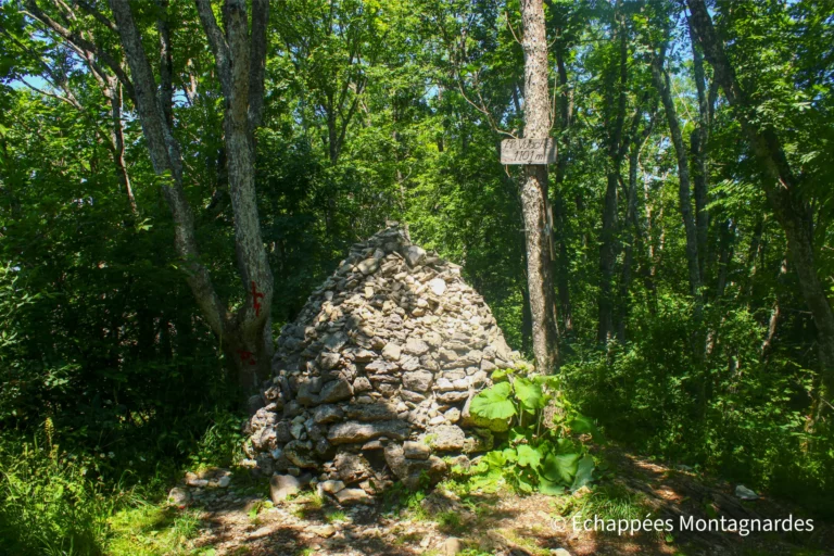 Traversée du Jura étape 19 - Sommet du Mont Vuache, au cœur de la forêt