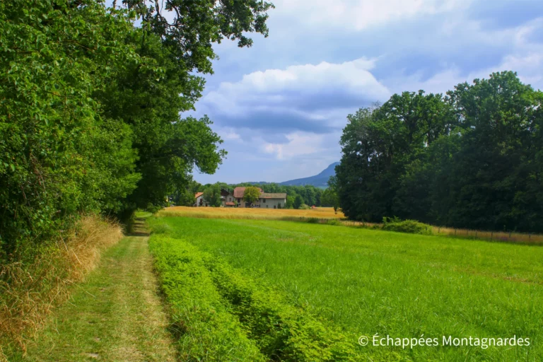 Traversée du Jura étape 22 - Cette dernière étape a le mérite d'effectuer la transition entre les deux chaînes de montagne. Pour le reste, peu de choses à se mettre sous la dent...