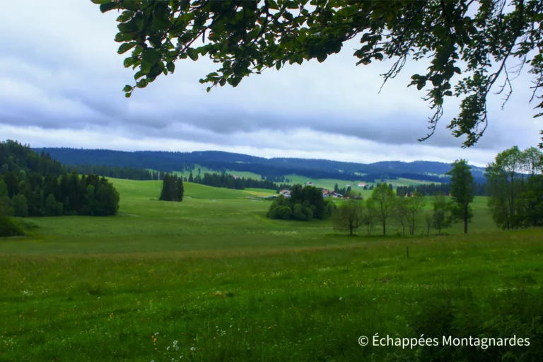 Traversée du Jura étape 6 - Une belle étape le long du GR®5 dans ces reliefs jurassiens