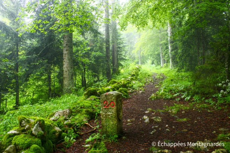 Traversée du Jura étape 6 - Borne frontière sur la crête du Meix Musy : un pied en France, l'autre en Suisse !