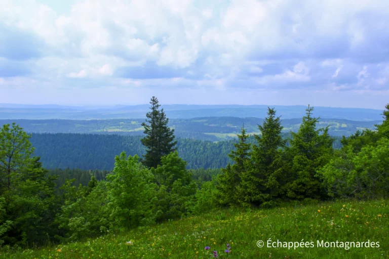 Traversée du Jura, étape 7 - Panorama splendide depuis le sommet du Grand Taureau (1323 m)