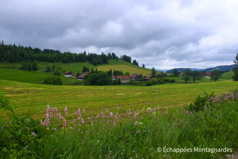 Traversée du Jura, étape 6 - Que les prairies jurassiennes sont belles !