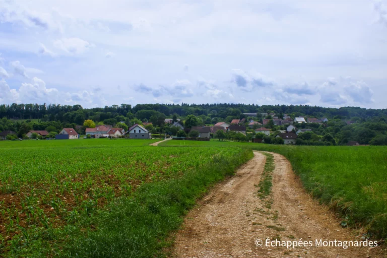 Traversée du Jura, étape 1 - Descente vers Thulay par un agréable chemin entre les cultures