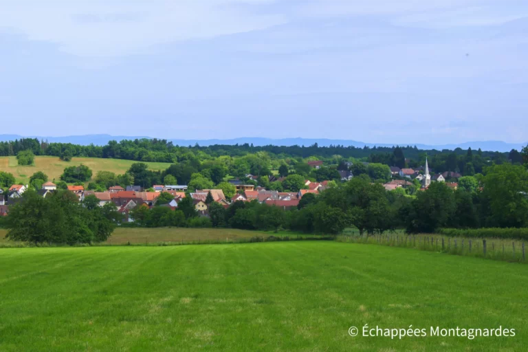 Traversée du Jura, étape 1 - Sur les hauteurs de Dasle - les Vosges sont encore bien visibles en arrière-plan