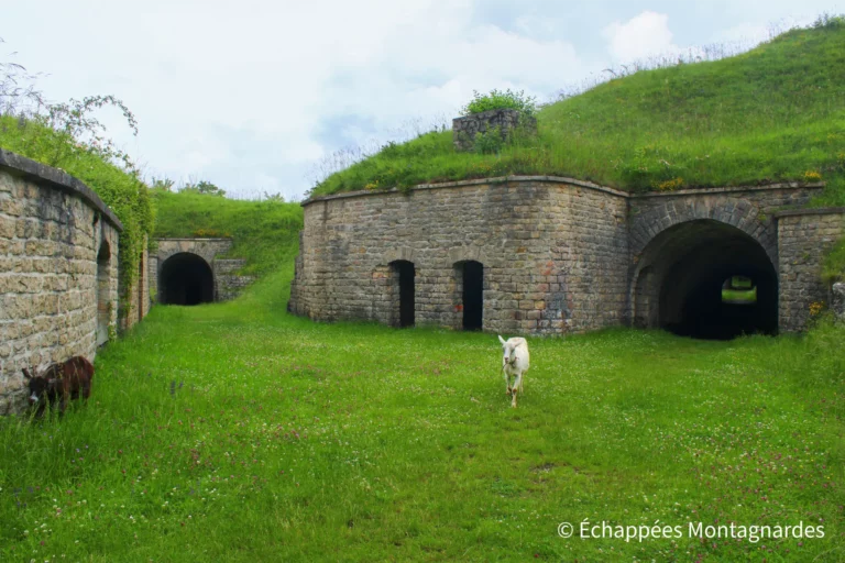Traversée du Jura étape 2 - Visite de l'ancienne batterie des Roches, sous bonne compagnie