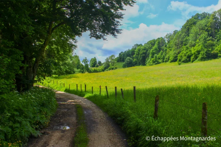 Traversée du Jura étape 5 - Joli chemin sur les hauteurs des gorges