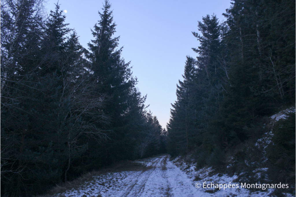 Chemin de randonnée enneigé Trois Dents