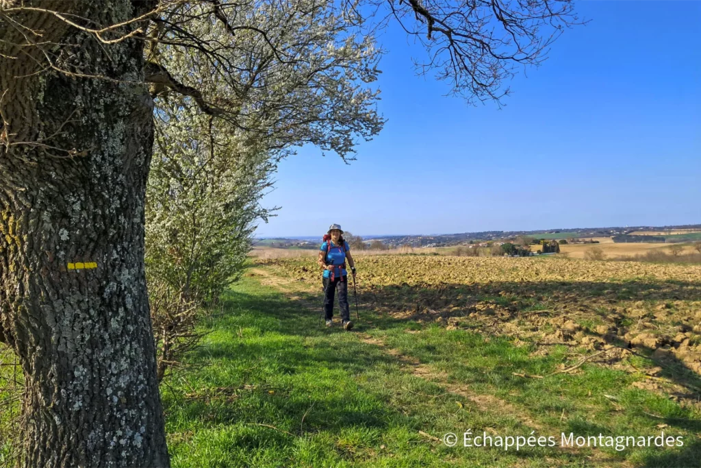 Randonnée Clermont-le-Fort - Cette randonnée propose de jolis sentiers à travers les cultures et les coteaux