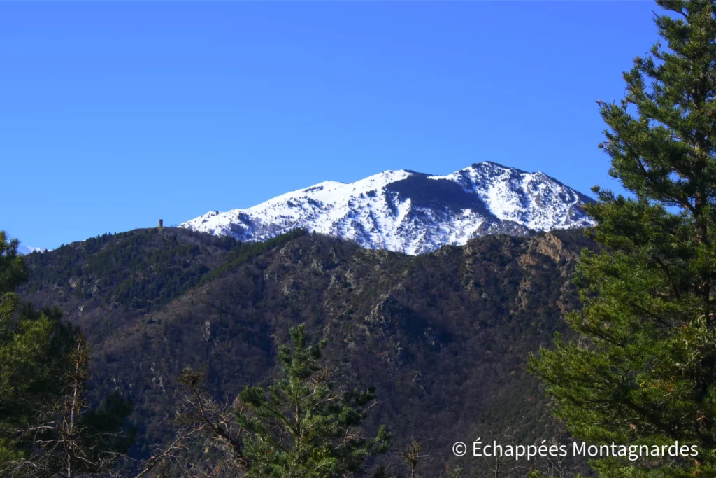 Tour de l'abbaye Saint-Martin du Canigou - Premiers points de vue sur les sommets, avec la tour de Goa et le pic de Tres Estelles