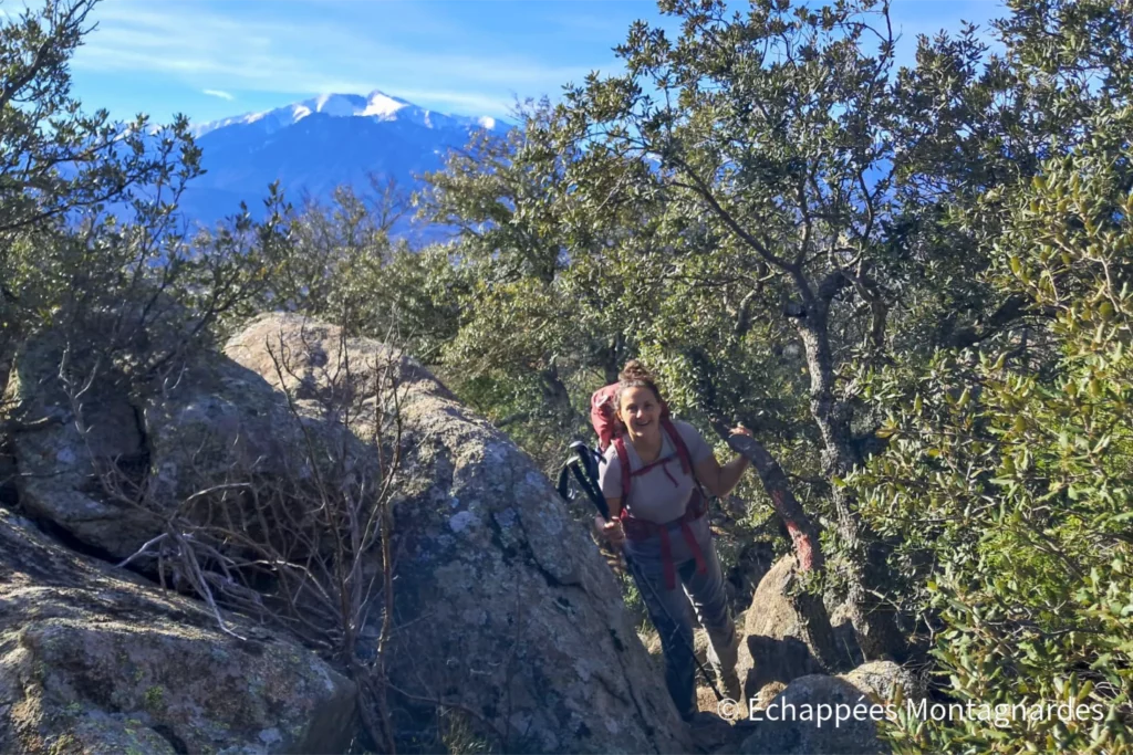 D'Eus au Roc Jalère - Le sentier étroit chemine dans la garrigue
