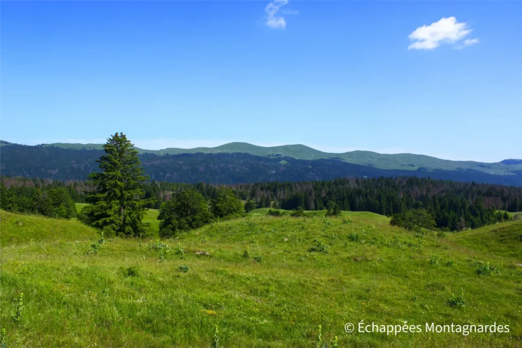 Traversée du Jura étape 14 - Premiers points de vue sur les reliefs arrondis des Monts Jura