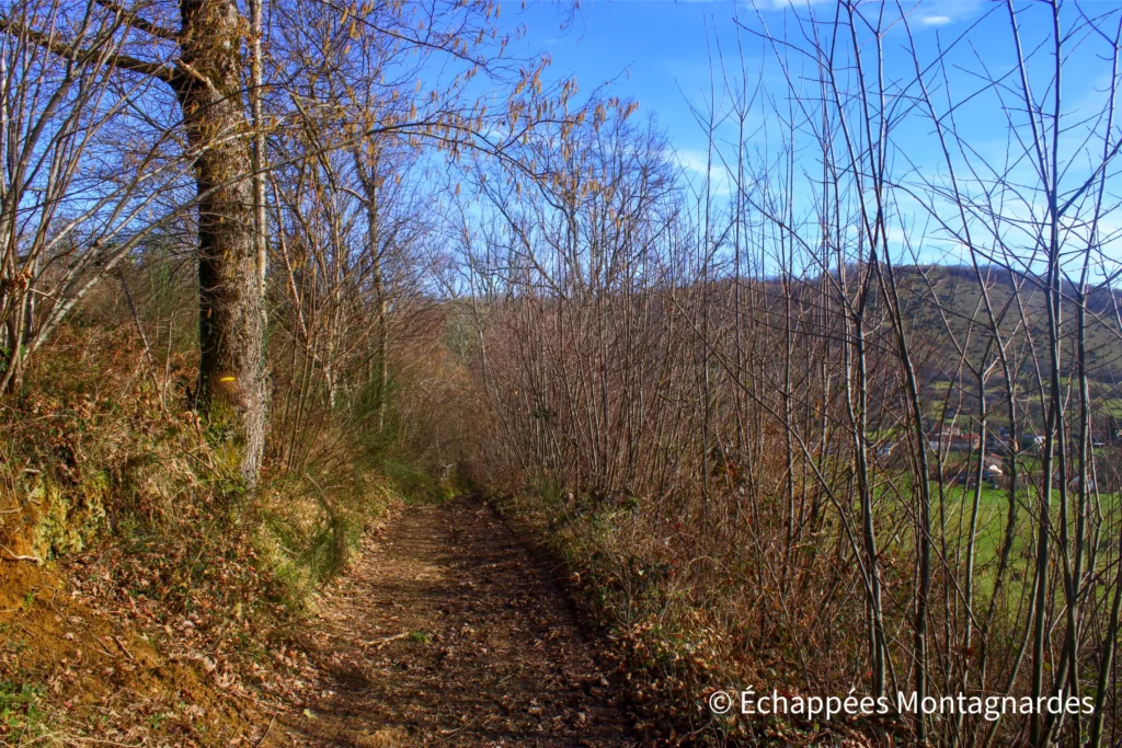Randonnée Tuc de Montcalivert - De beaux chemins et petites routes nous emmènent ensuite vers Montjoie-en-Couserans. L'objectif du jour, le tuc de Montcalivert, apparait à travers les bois.