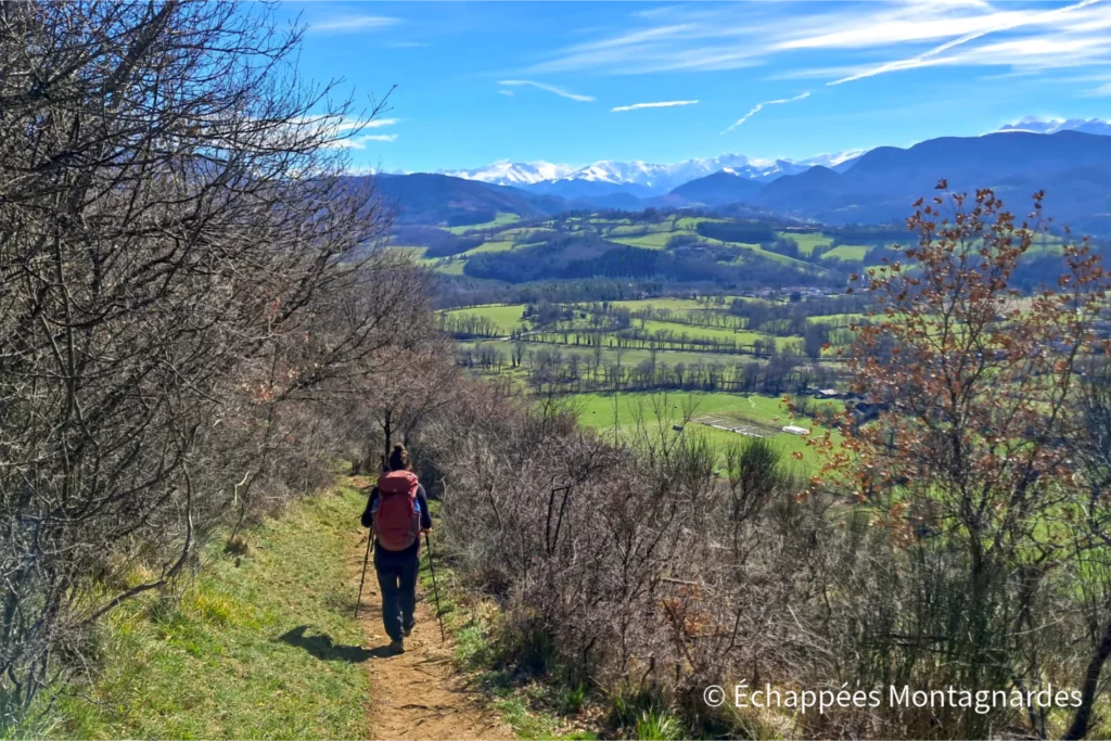 Randonnée Tuc de Montcalivert - Descente du tuc de Montcalivert par le même sentier qu'à l'aller, face aux Pyrénées enneigées