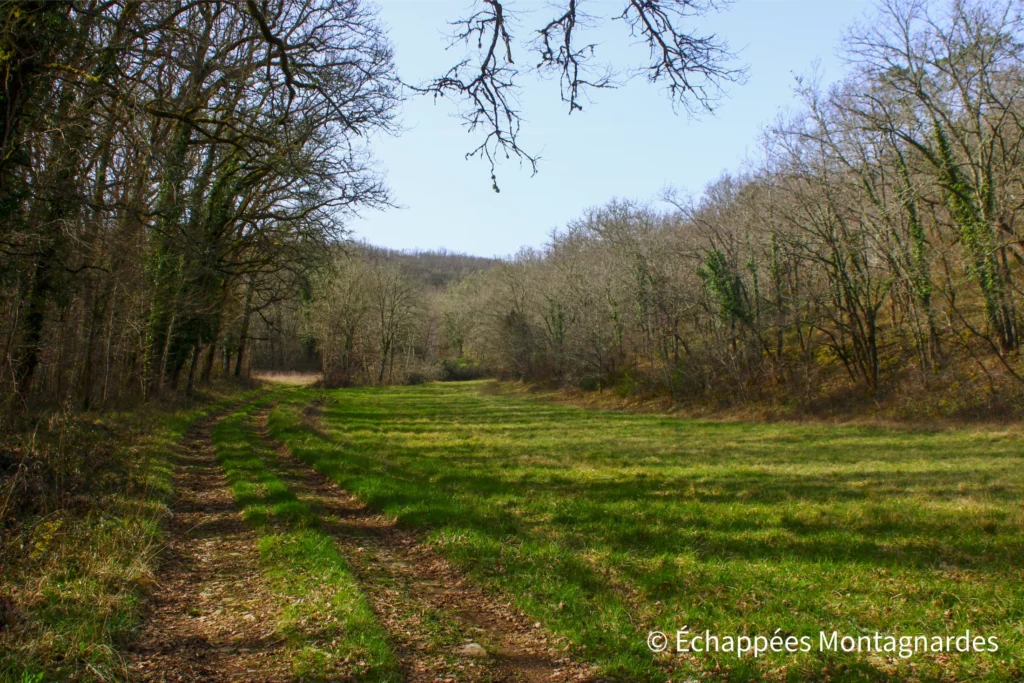 Causse Toujours -randonnée dans le Lot - J'emprunte ensuite des chemins paisibles, entre prairies et bois