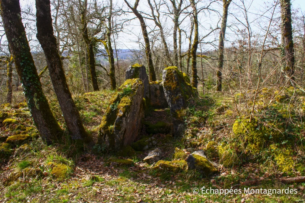 Causse Toujours -randonnée dans le Lot - Non loin de là, un mystérieux dolmen se cache dans le bois