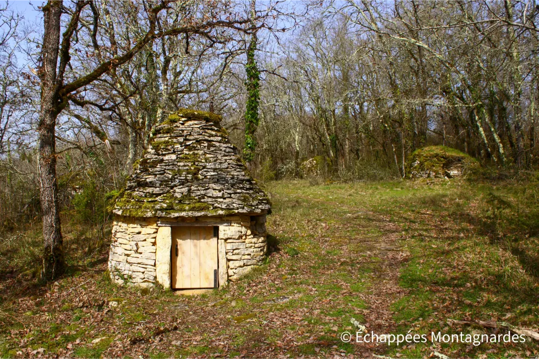 You are currently viewing Causse Toujours : randonnée au départ de Salviac (Lot)