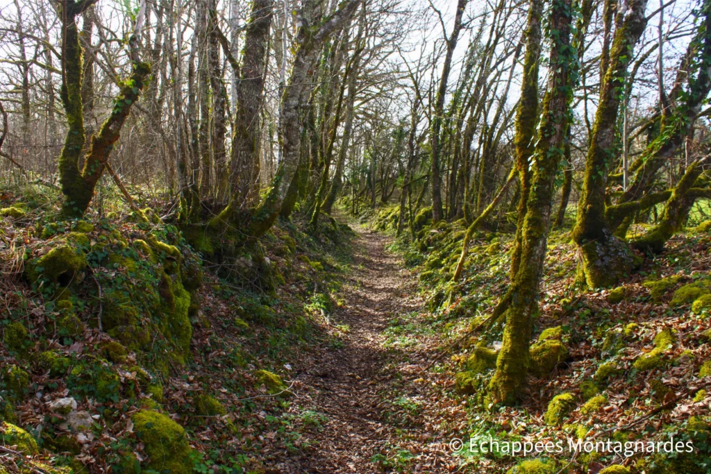 Causse Toujours -randonnée dans le Lot - Ces sentiers caussenards sont vraiment merveilleux !