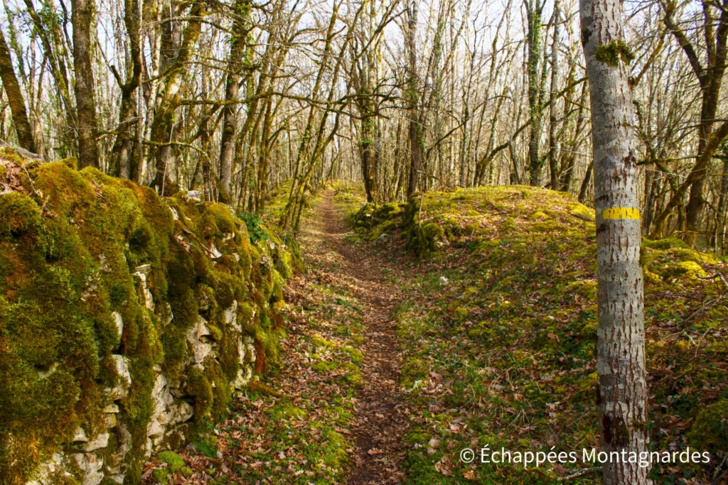 Causse Toujours -randonnée dans le Lot - Rapidement, le parcours propose d'évoluer sur de beaux sentiers bordés de murets, typiques du causse