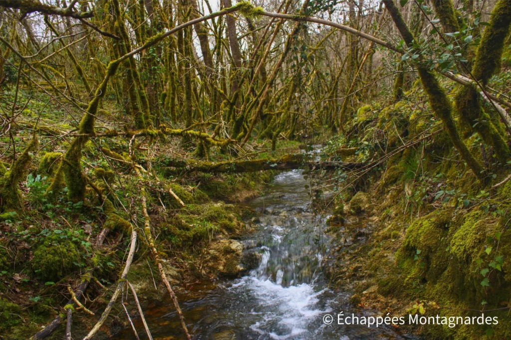 Randonnée gorges de Landorre (Lot) - Entrée dans les gorges. Je longe le ruisseau de Landorre dans un paysage particulièrement végétal