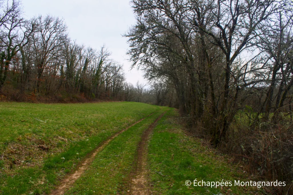 Randonnée gorges de Landorre (Lot) - À la sortie des gorges, je retrouve des paysages plus ouverts à travers champs. La suite est filante et calme
