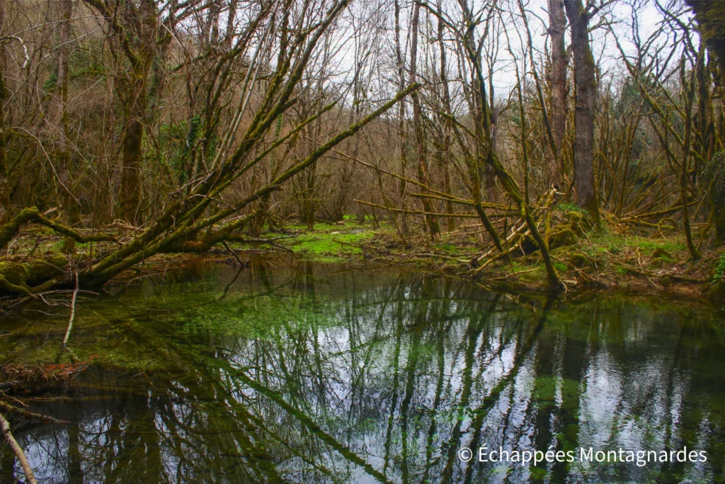 Randonnée gorges de Landorre (Lot) - Le ruisseau de Landorre s'élargit parfois et donne naissance à quelques étangs. Lorsque la lumière est vive, les couleurs doivent être splendides !