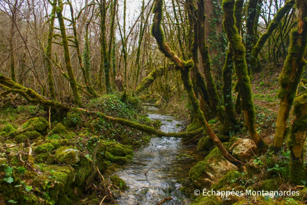 Randonnée gorges de Landorre (Lot) - Je poursuis à travers les gorges de Landorre. Le ruisseau et le chant des oiseaux sont les seuls bruits à m'accompagner