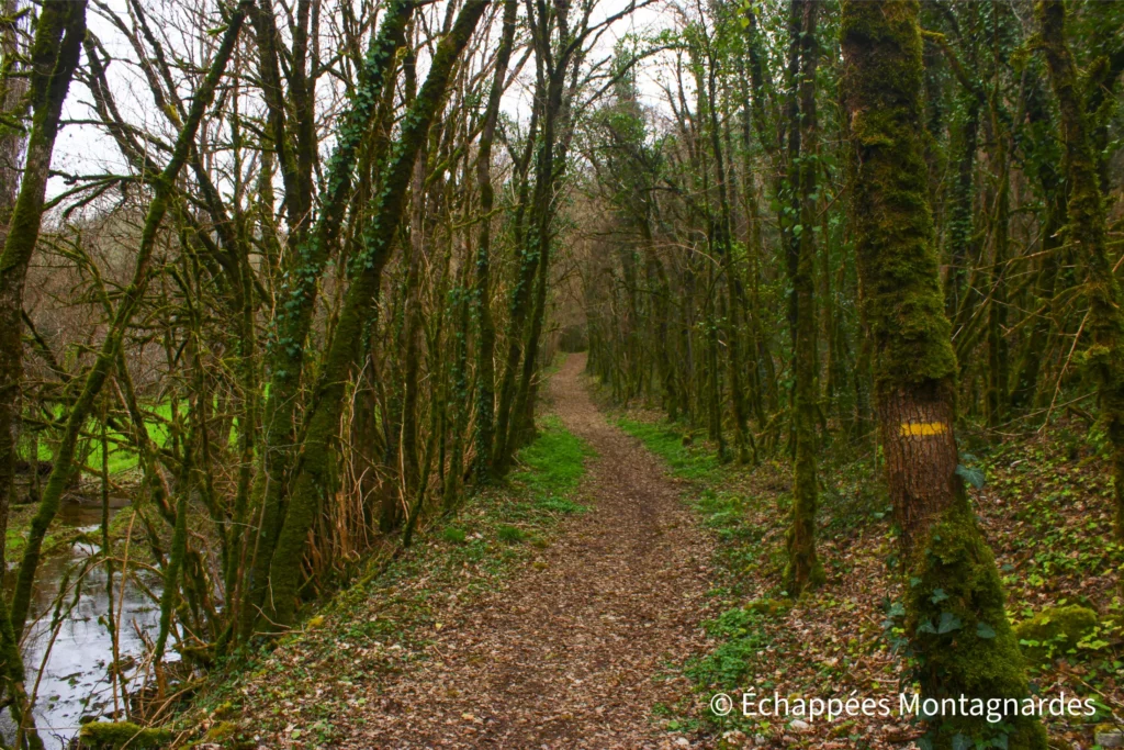 Randonnée gorges de Landorre (Lot) - Le sentier traverse les bois, et alterne entre portions filantes et zones plus sinueuses