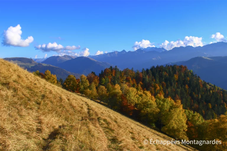 Et justement, une longue ascension nous attend pour rejoindre ces crêtes. Après avoir profité des couleurs d'automne dans la forêt, nous atteignons les estives et admirons à nouveau l'Aneto.