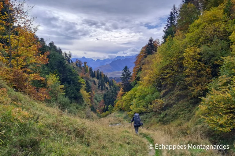 Nous quittons les crêtes et parcourons les derniers kilomètres dans les forêts colorées de la vallée du Larboust.