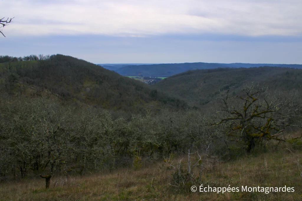 Laroque-des-Arcs, circuit des arts - De retour sur les hauteurs du causse, encore de beaux panoramas sur les reliefs lotois qui s'enchainent à perte de vue autour de moi