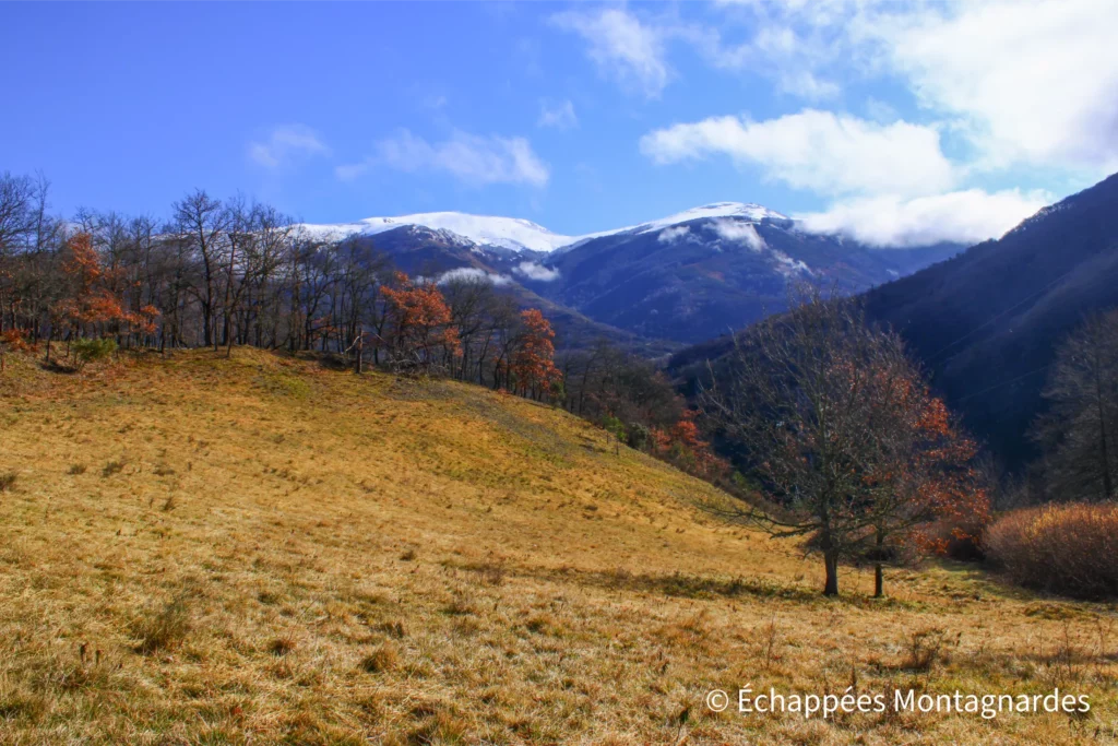 Randonnée Arnave col d'Ijou - Point de vue sur quelques sommets du massif de Tabe, et en particulier le Mont Fourcat, depuis le col d'Ussat (843 m)