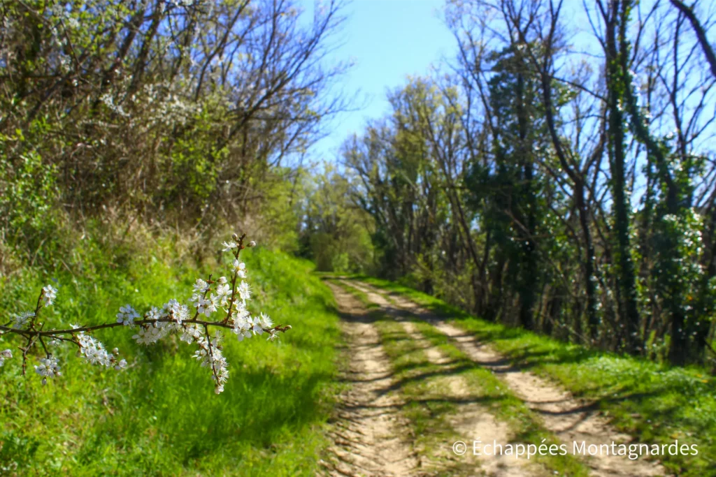 Rieux-Volvestre balcon des Pyrénées - Rapidement, j'emprunte d'agréables chemins, très paisibles