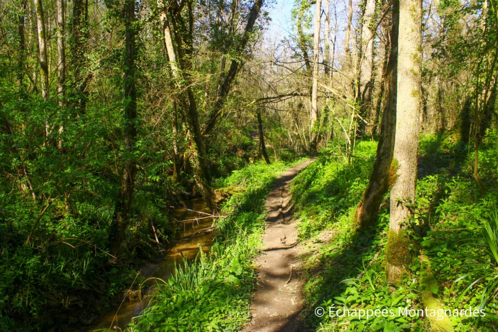 Rieux-Volvestre balcon des Pyrénées - Je me régale de ces petits sentiers, qui jonchent le parcours en alternance avec des petites routes elles aussi très tranquilles